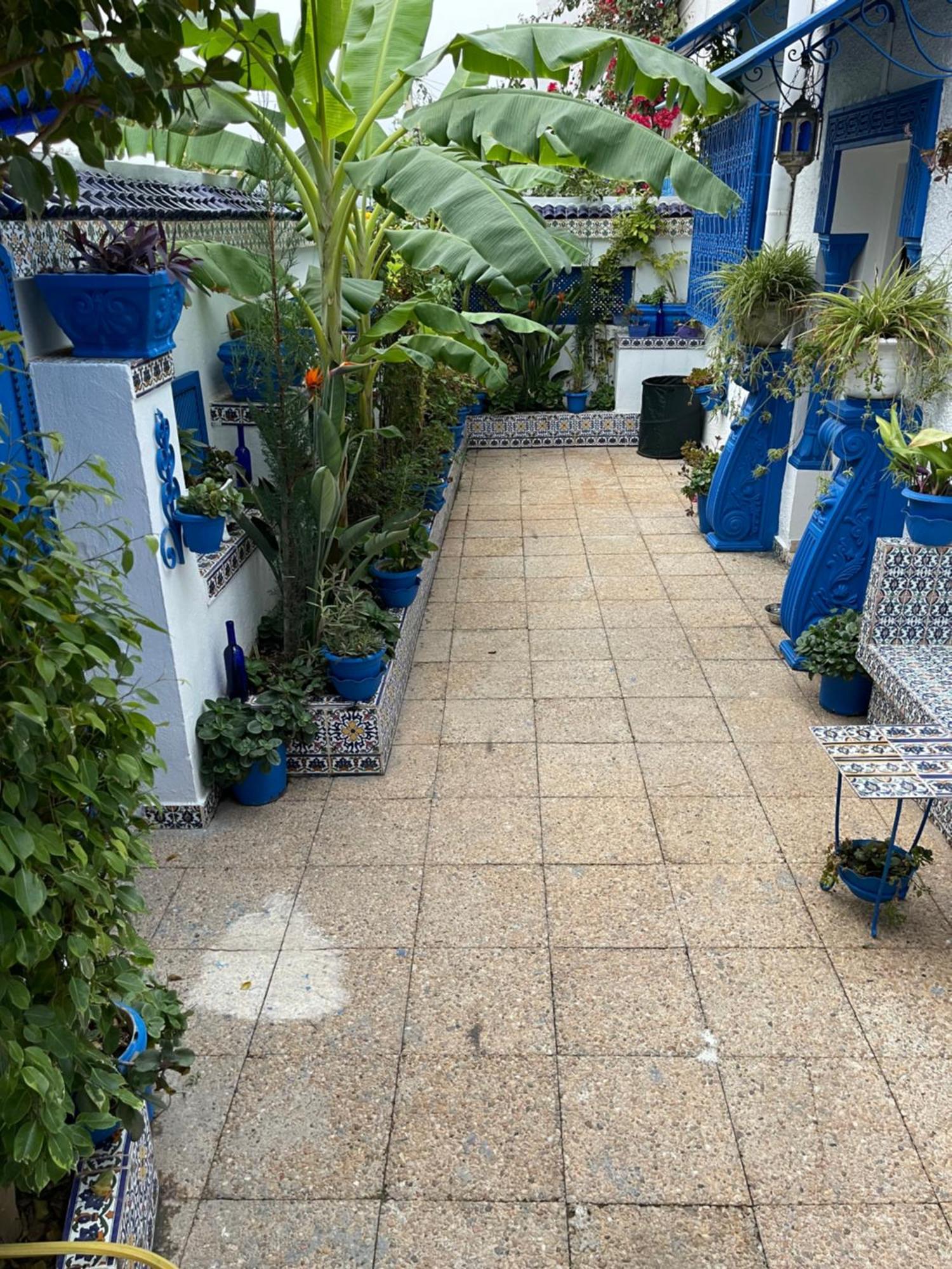 The Blue And White Perle Villa Sidi Bou Said Exterior photo