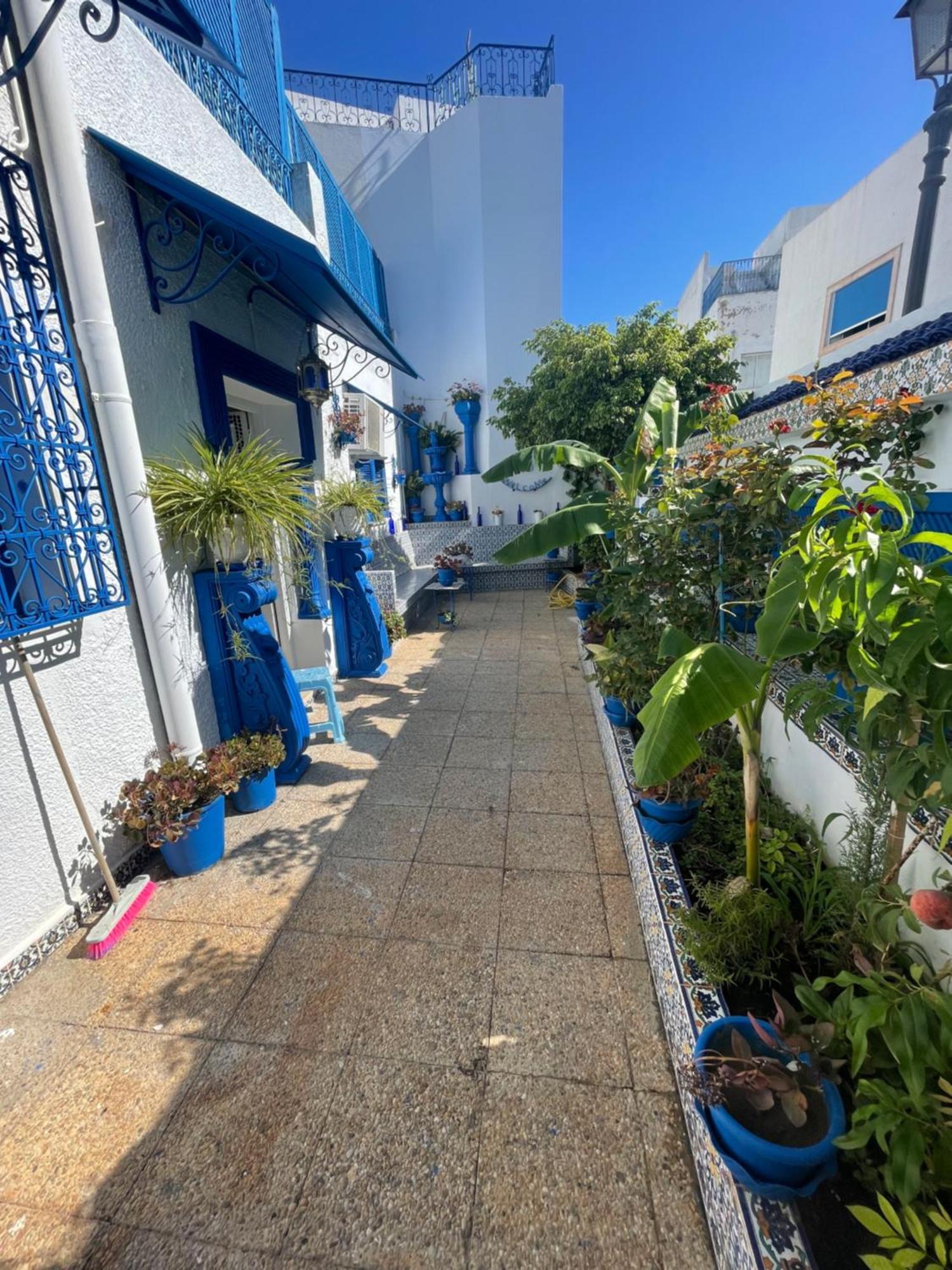 The Blue And White Perle Villa Sidi Bou Said Exterior photo
