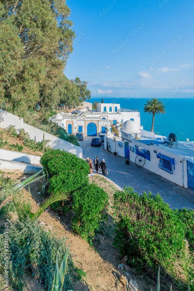 The Blue And White Perle Villa Sidi Bou Said Exterior photo